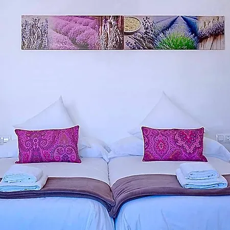 Charmsuites Paralel *